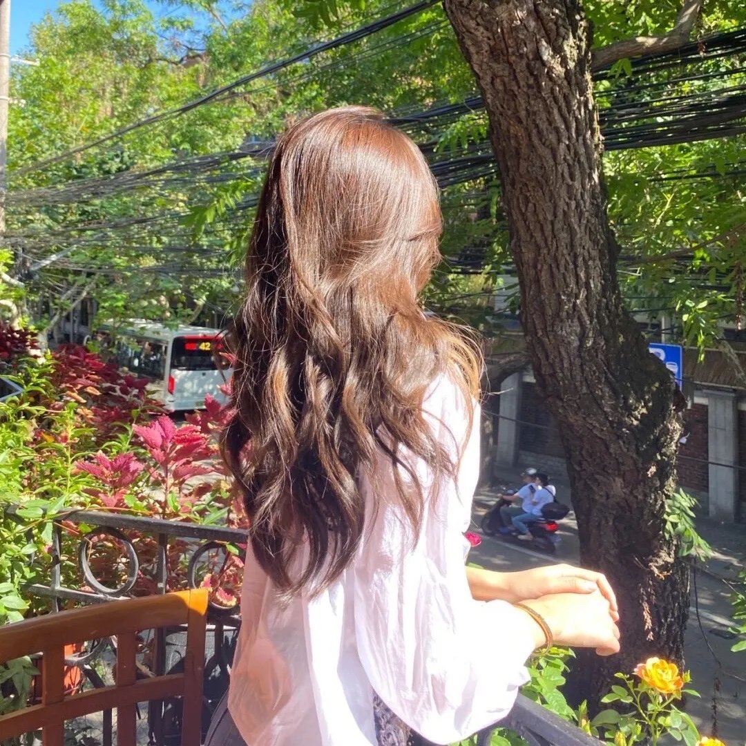 青春紫罗兰